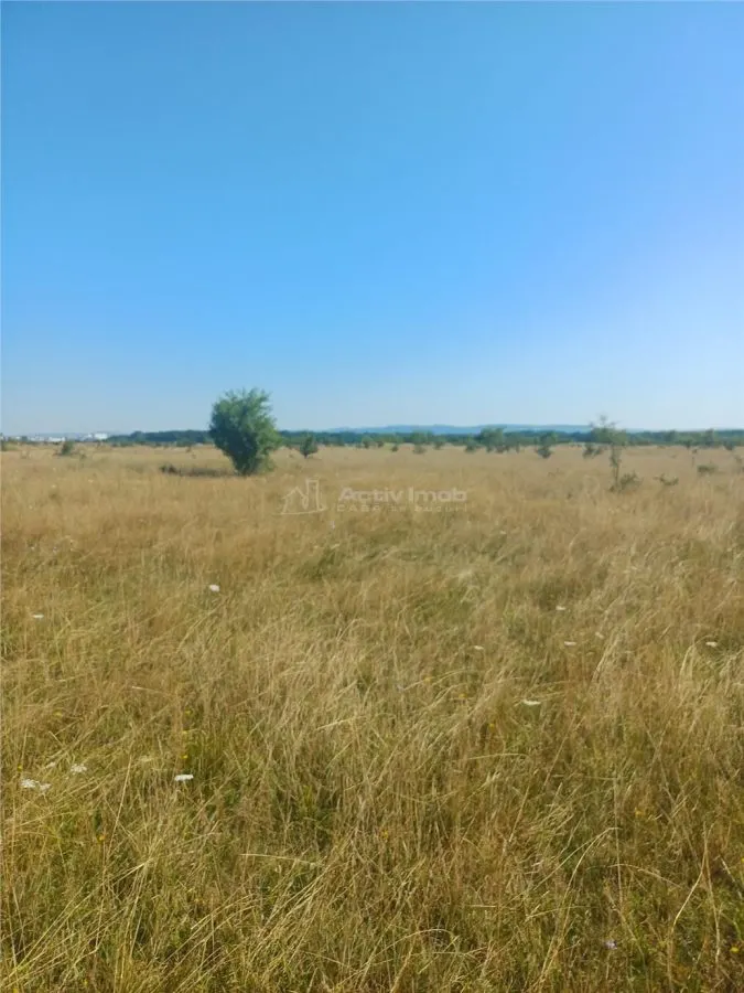 Terrain à Bâtir à Vendre, Zone Magura Cisnadie - foto 7