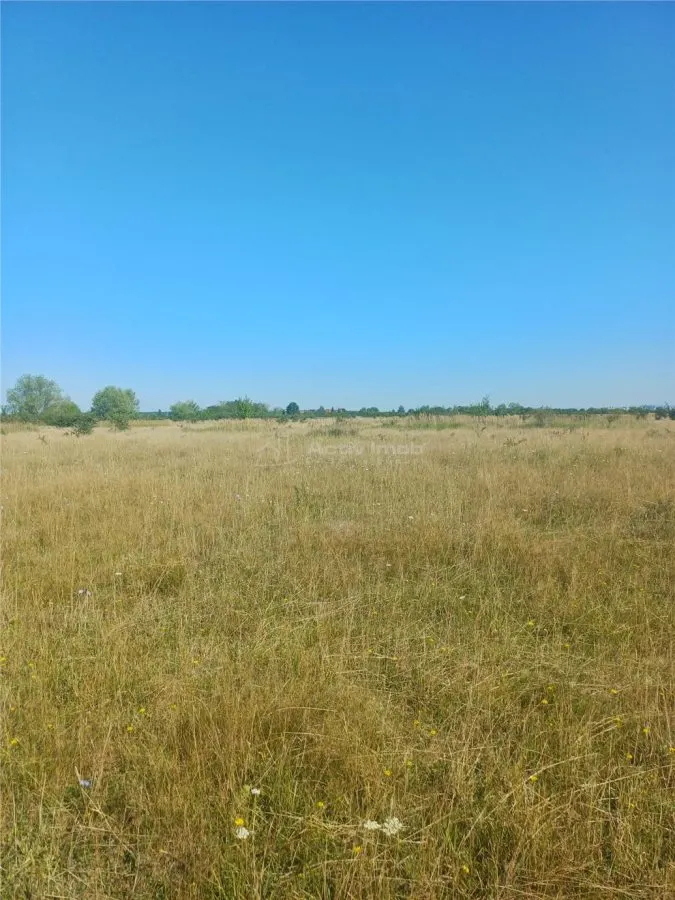 Terrain à Bâtir à Vendre, Zone Magura Cisnadie - foto 8
