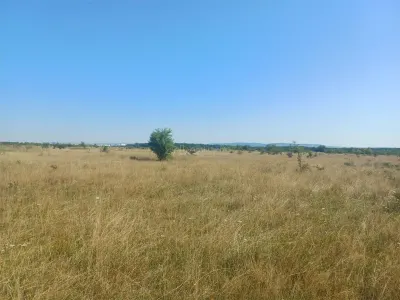 Terrain à Bâtir à Vendre, Zone Magura Cisnadie - foto 9