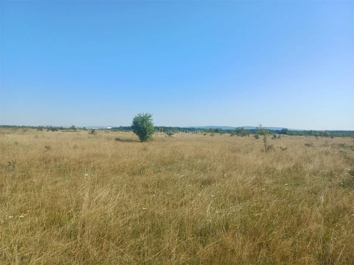 Terrain à Bâtir à Vendre, Zone Magura Cisnadie - foto 9