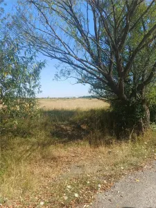 Terrain à Bâtir à Vendre, Zone Magura Cisnadie - foto 10