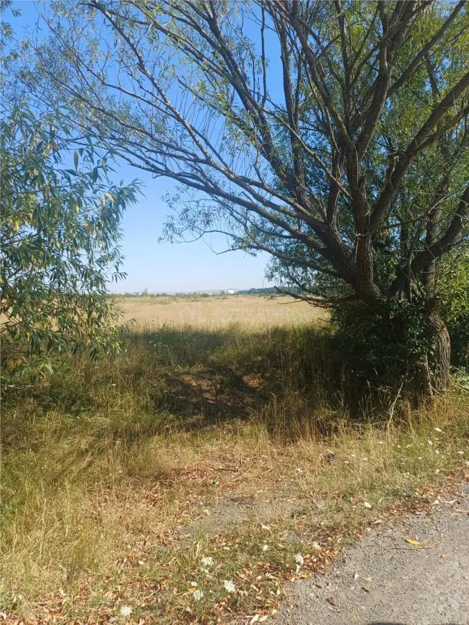 Terrain à Bâtir à Vendre, Zone Magura Cisnadie - foto 10
