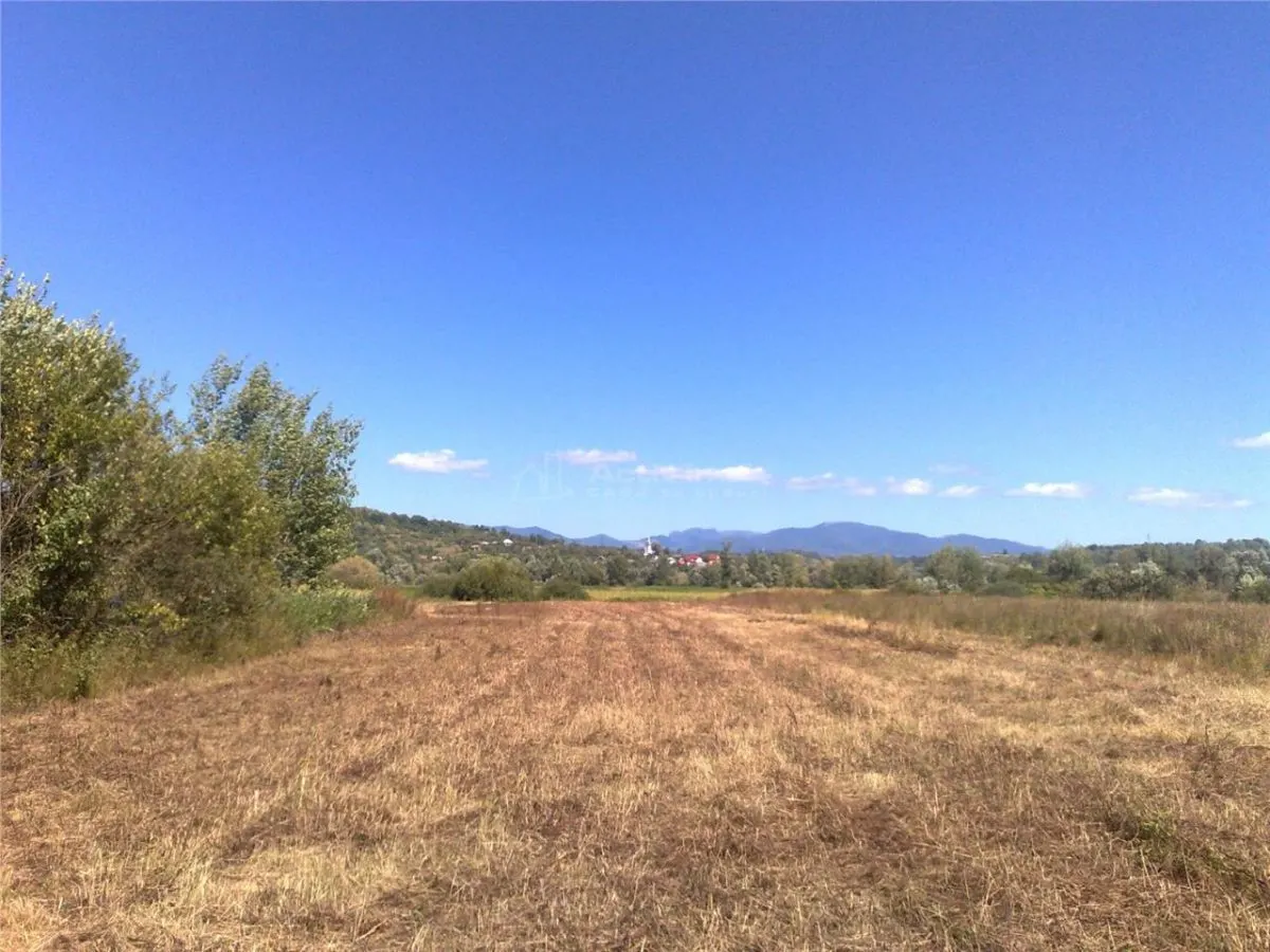 Terrain Urbain 55 Ari, Rue Principale Săcălăşeni - foto 1
