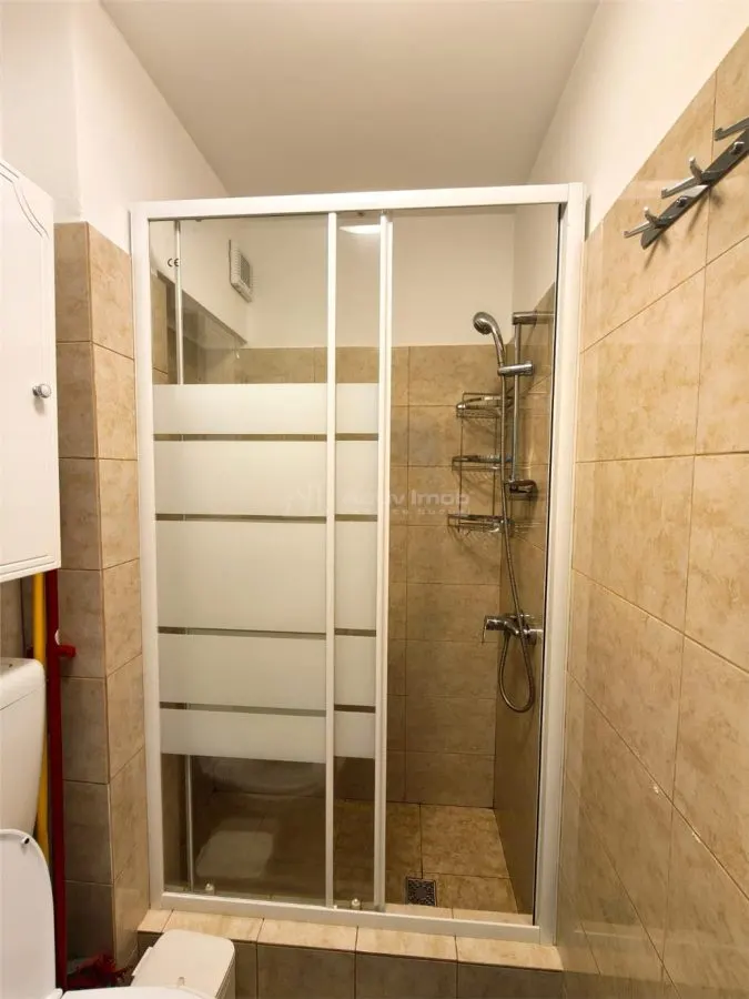 Studio Moderne à Louer, Rue Tiberiu Ricci, Quartier des Architectes - foto 10