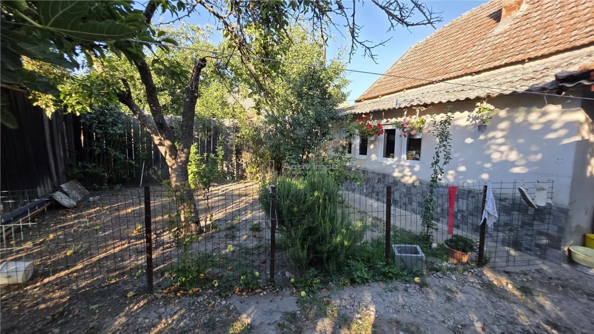 Maison Rurale Pustinis, 2 Chambres avec Terrain de 1.054 m² - foto 16