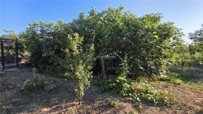 Maison Rurale Pustinis, 2 Chambres avec Terrain de 1.054 m² - foto 23