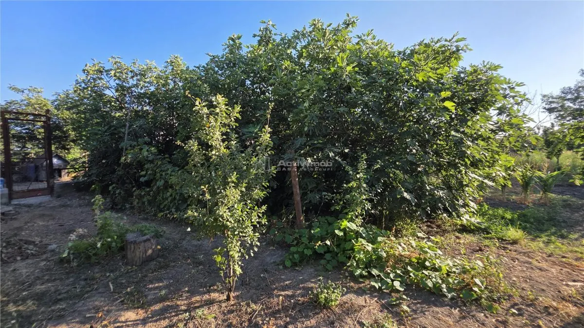 Maison Rurale Pustinis, 2 Chambres avec Terrain de 1.054 m² - foto 23