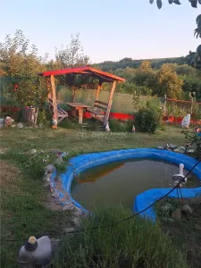 Single-Storey House - Comana, Giurgiu - 4 Bedrooms - 118sqm - 600sqm Land - foto 18