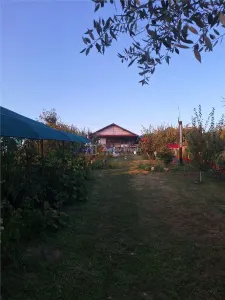 Single-Storey House - Comana, Giurgiu - 4 Bedrooms - 118sqm - 600sqm Land - foto 19