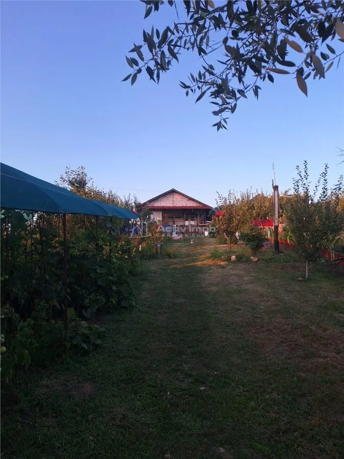 Single-Storey House - Comana, Giurgiu - 4 Bedrooms - 118sqm - 600sqm Land - foto 19