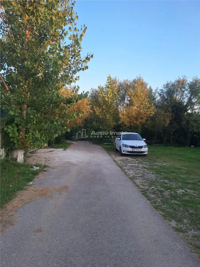 Single-Storey House - Comana, Giurgiu - 4 Bedrooms - 118sqm - 600sqm Land - foto 20