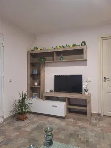 Single-Storey House - Comana, Giurgiu - 4 Bedrooms - 118sqm - 600sqm Land - foto 4