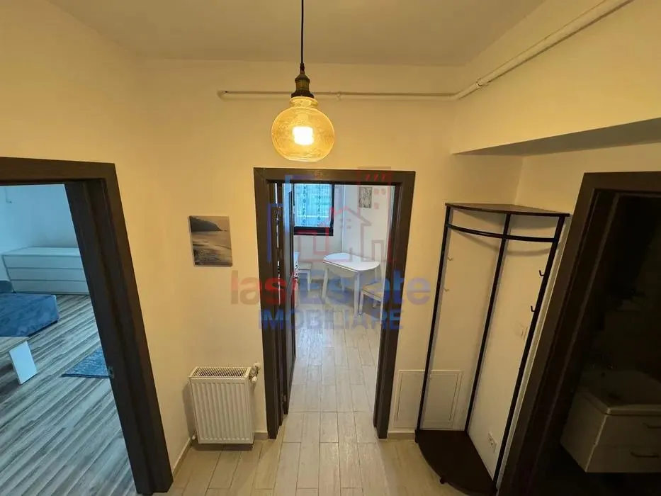 Appartement 1 Chambre Tudor Vladimirescu - River Towers - foto 4