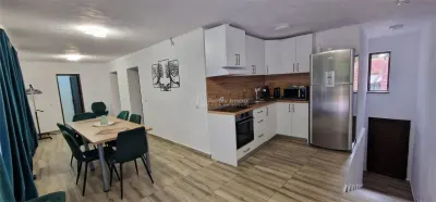 Valiug Villa Nueva con Casa de Huéspedes & Terreno 878 m² – Comisión Cero - foto 2