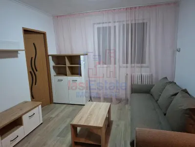 波杜罗斯 - 埃米尔·拉科维塔高中 2卧室公寓 - Iasi