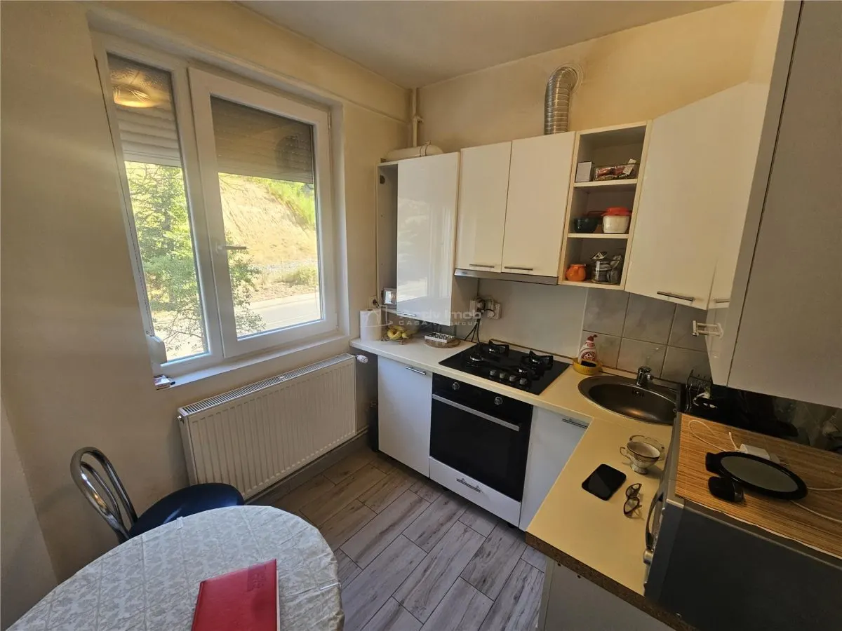 Resita, Apartamento 2 Dormitorios, Amueblado y Equipado, Planta 1, 61 m² - foto 16