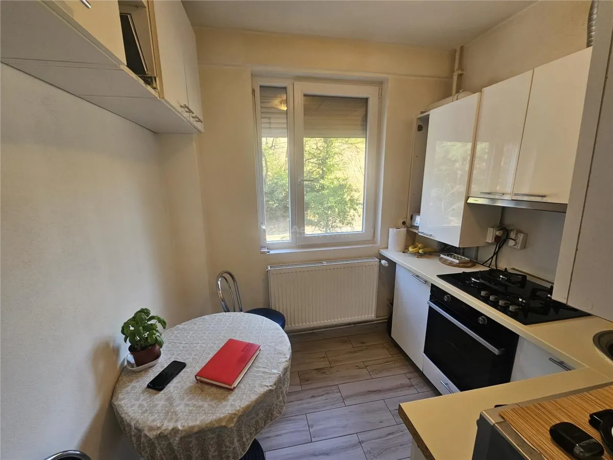 Resita, Apartamento 2 Dormitorios, Amueblado y Equipado, Planta 1, 61 m² - foto 6