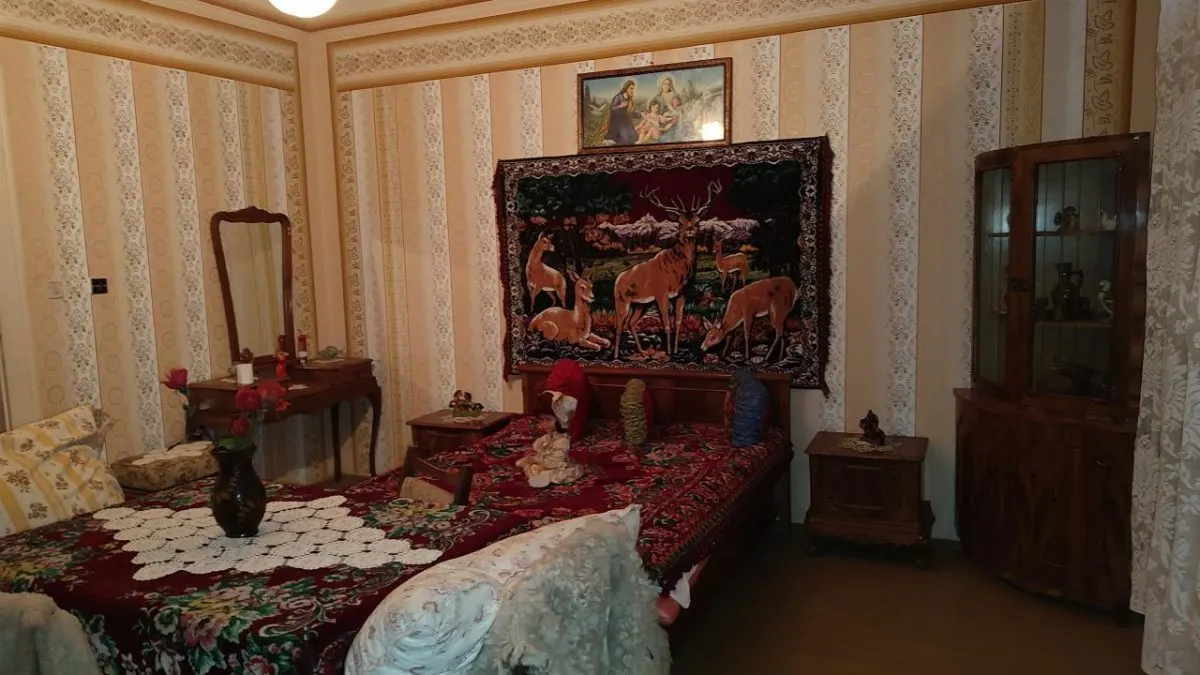 Maison Individuelle à Lipova - foto 12