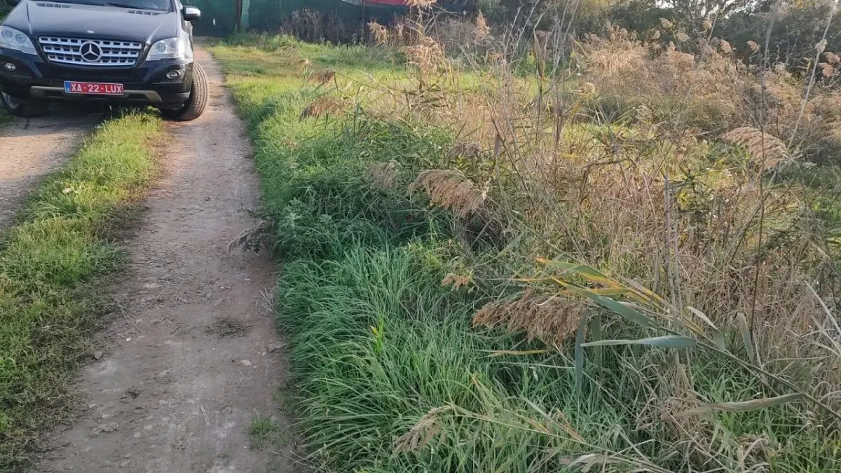 Terrain Industrial, Timisoara – Calea Buziasului - foto 4