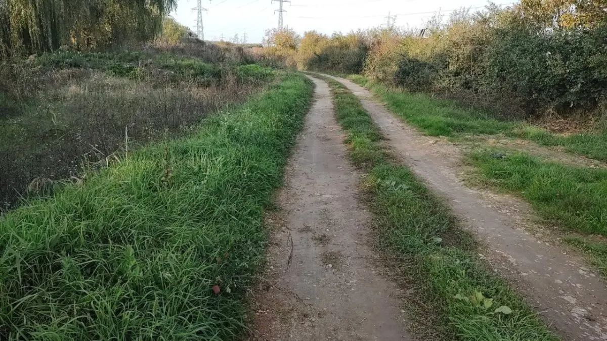 Terrain Industrial, Timisoara – Calea Buziasului - foto 5