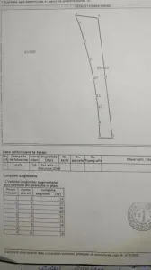 Terrain Industrial, Timisoara – Calea Buziasului - foto 6