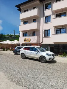 Hlincea 单卧室公寓，带大露台 – 底层 - Hlincea