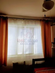 Studio Meublé et Équipé à Canta - Păcurari - foto 4