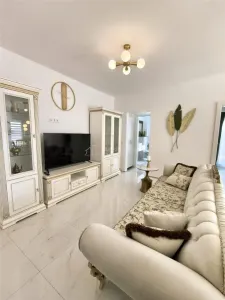 Apartament cu 3 camere si curte de vanzare - foto 18