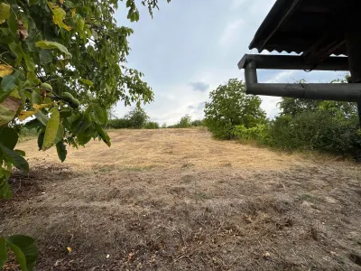 Zorile, Maison 6 Pièces + 5.900 m² Terrain - foto 14
