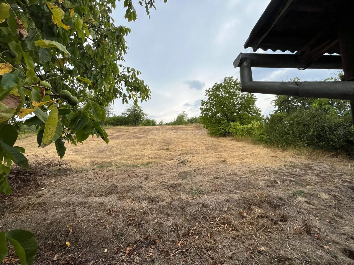 Zorile, Maison 6 Pièces + 5.900 m² Terrain - foto 14