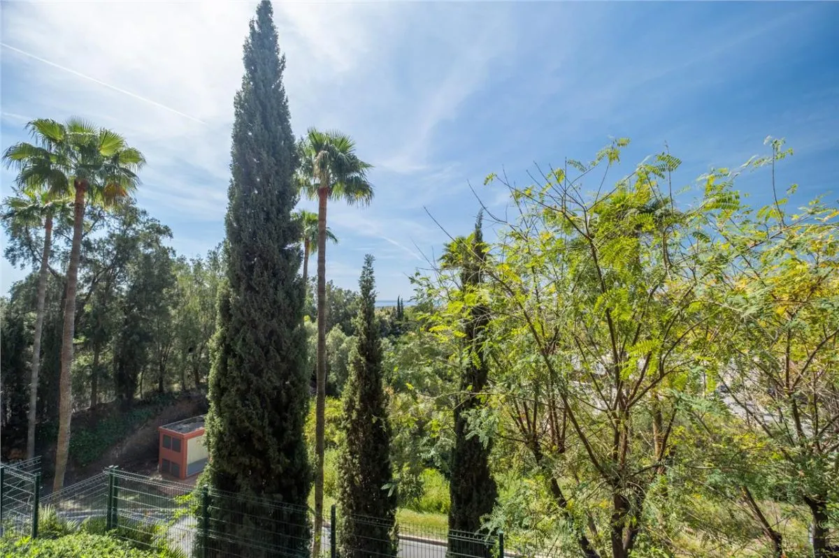 Apartament de vanzare in Malaga - foto 16