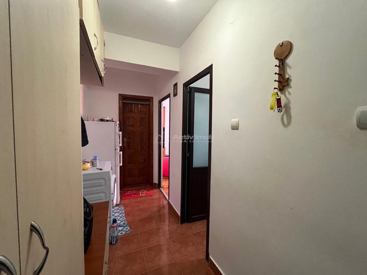 Lugoj, Ap. 1 Cam., 41 Mp., Et. 3, Strada Cernei, Langa Liceul Aurel Vlaicu - foto 19