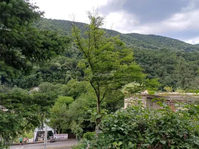 Baile Herculane, Villa Miramonte en Venta, 3204 m² Terreno Urbano, Centro - foto 17