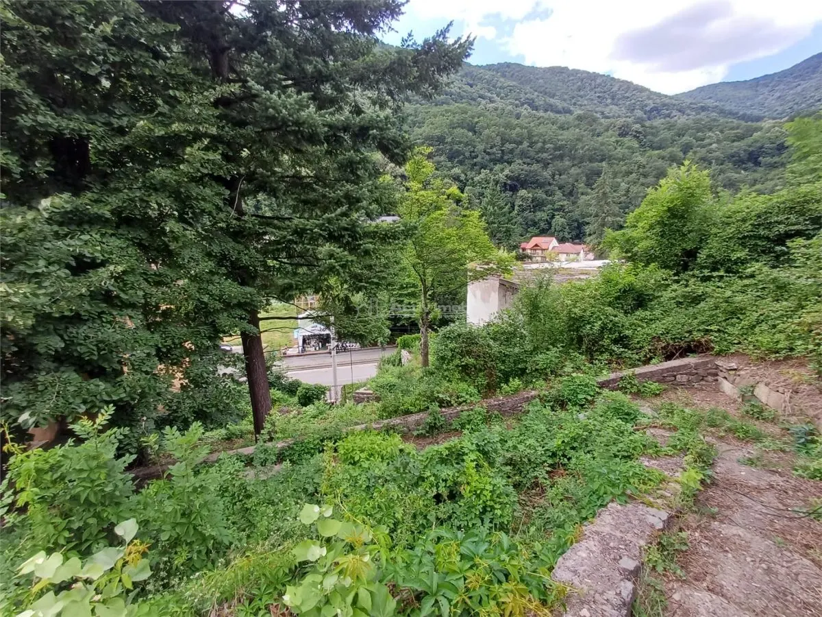 Baile Herculane, Villa Miramonte en Venta, 3204 m² Terreno Urbano, Centro - foto 21