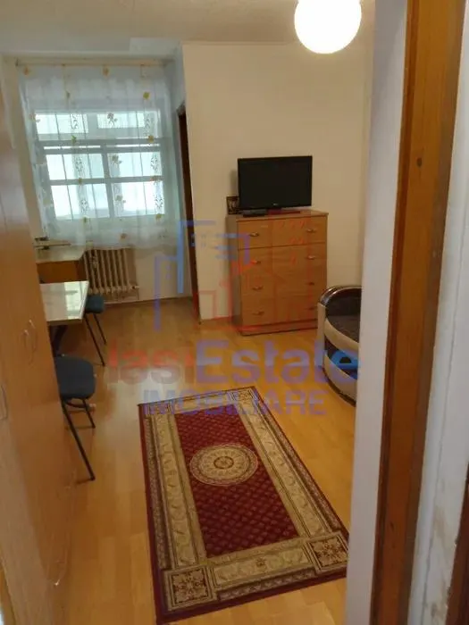 Garsoniera Alexandru cel Bun - Posta - foto 1