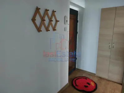 Apartamento de Una Habitación Pacurari - Petrom - foto 4