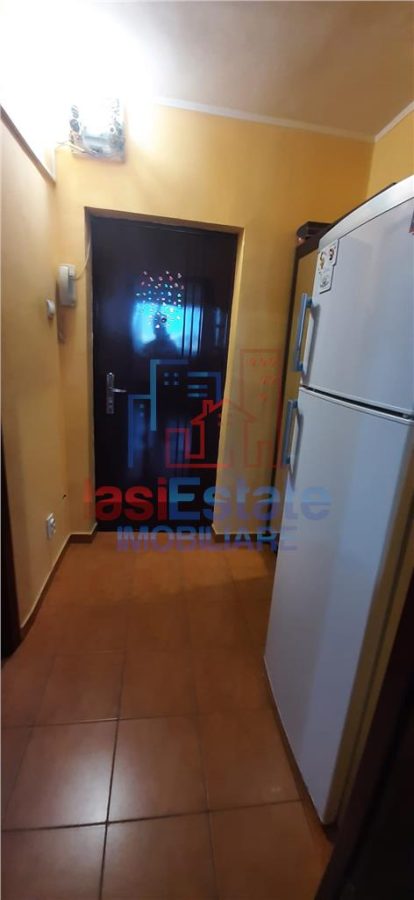 Apartment with 1 bedrooms for rent 30 sqm in Iasi, Tatarasi area - foto 10