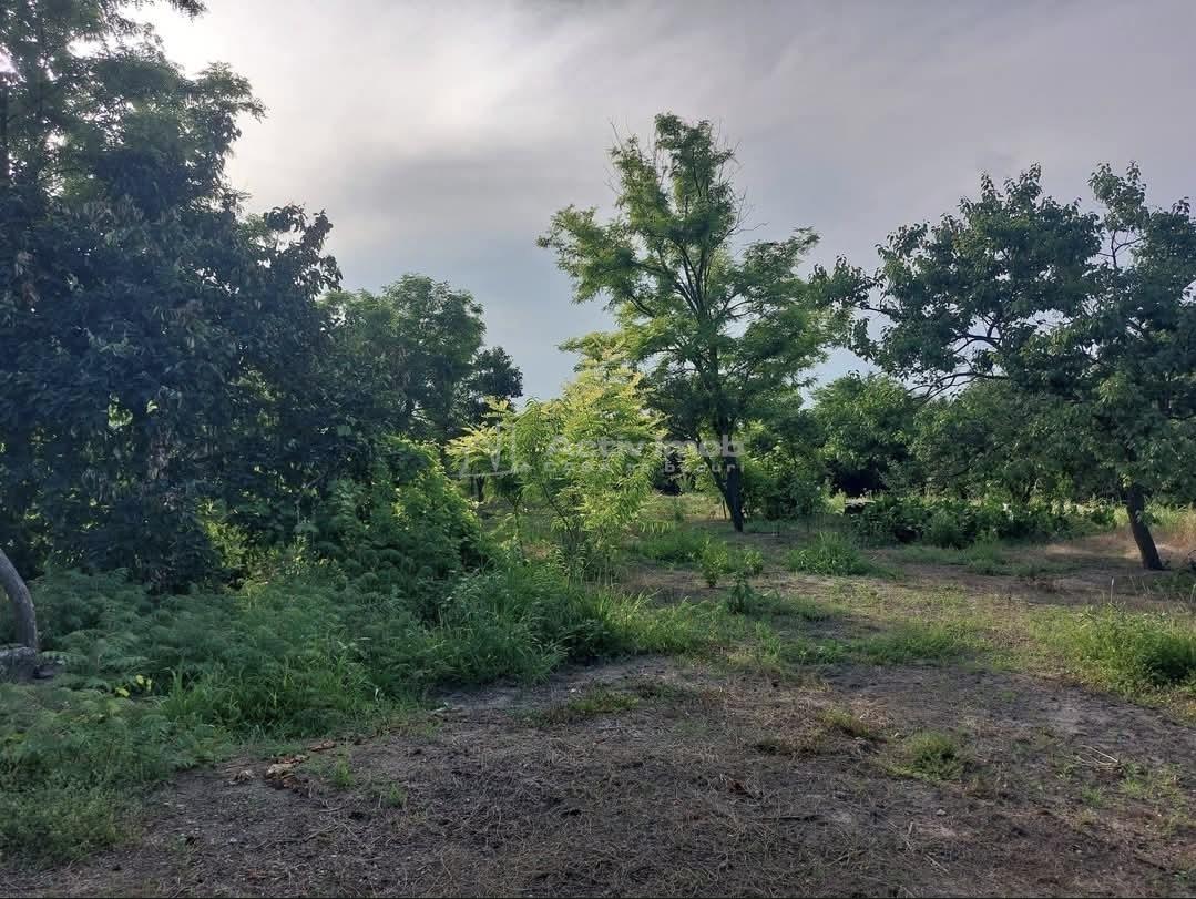 135 sqm House with 2,621 sqm Plot, Mihailești, Buzău - foto 13