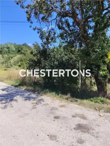 TEREN INTRAVILAN 1.736 MP | BOGATI, ARGES | 30 km de Pitesti |deschidere la DC 60 - foto 4