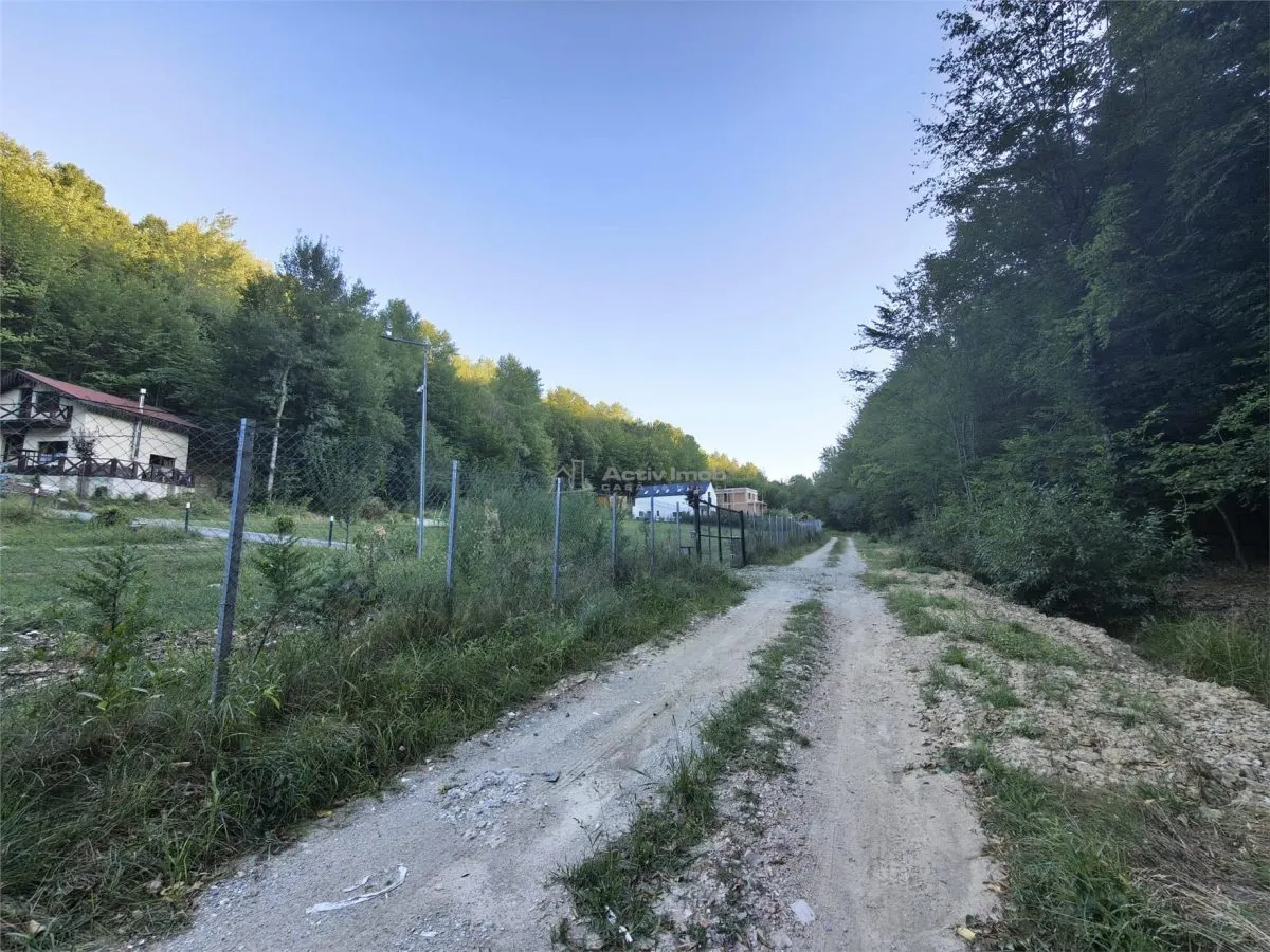 Teren intravilan de vanzare in padure Cisnadioara - foto 13