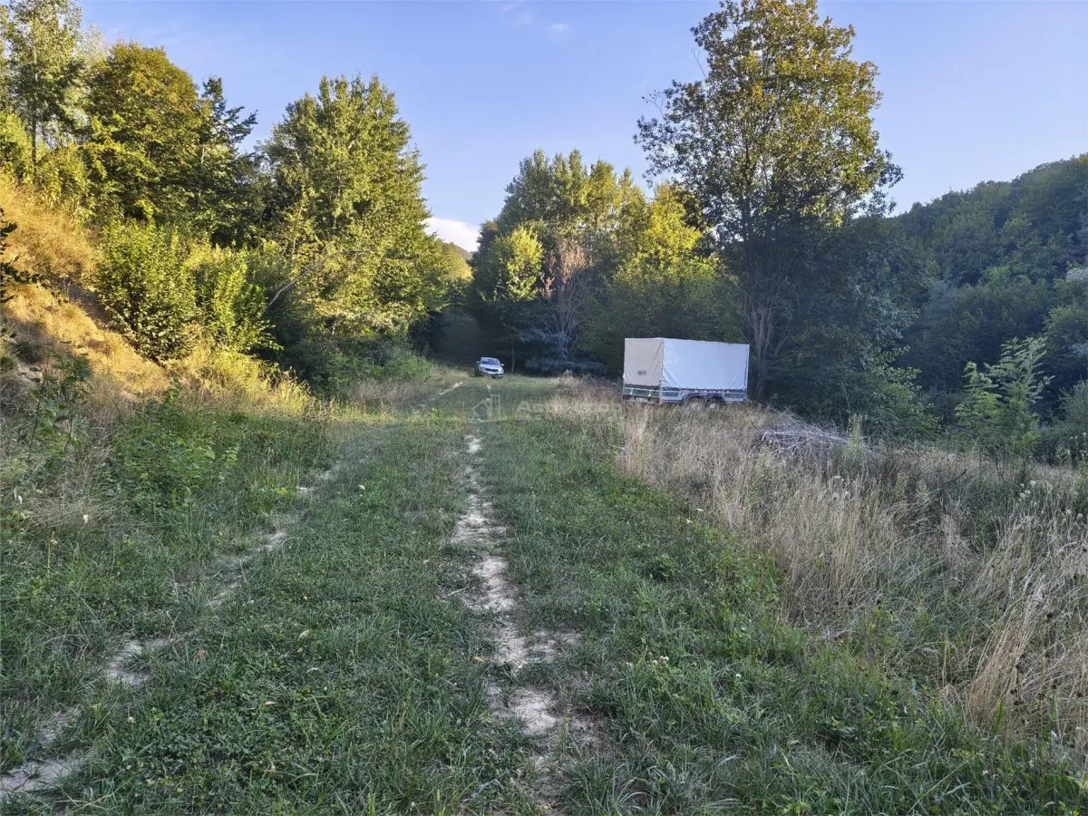 Teren intravilan de vanzare in padure Cisnadioara - foto 4