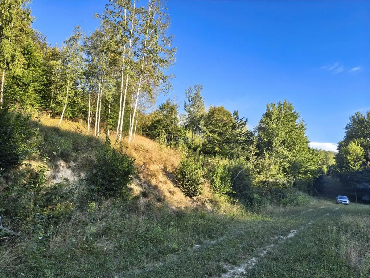 Teren intravilan de vanzare in padure Cisnadioara - foto 10
