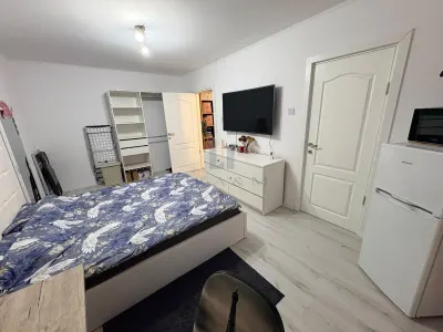 Apartament 1 camera | Renovat complet | Ideal pentru student sau investitie - foto 4