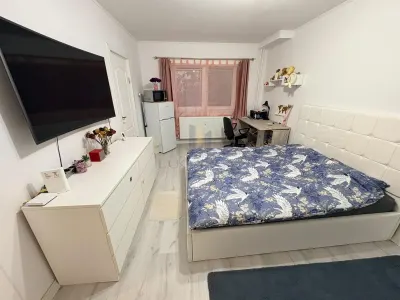 Apartament 1 camera | Renovat complet | Ideal pentru student sau investitie - foto 5