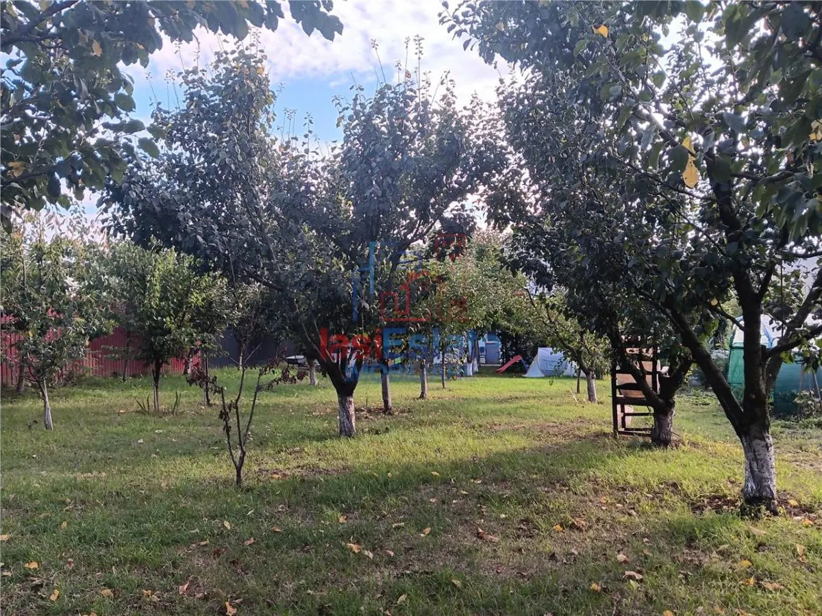 Dorobant Villa P+M+Loft | 200sqm | 1,200sqm Landscaped Plot - foto 4