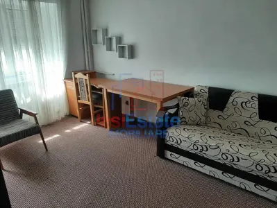 Appartement 2 Pièces, Disposition Indépendante, 58 m², Bd. Independentei – 3e Étage, Chauffage Individuel - Iasi