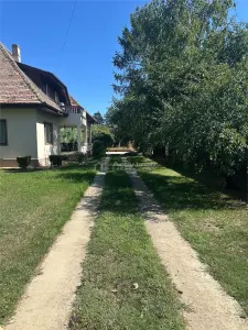 House / villa for rent 140 sqm in Snagov, Lac area - foto 8
