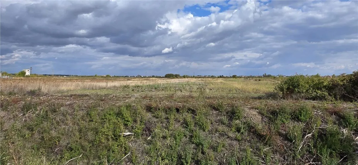 Mosnita Noua | Development Land 743 sqm | 19m Street Frontage - foto 4