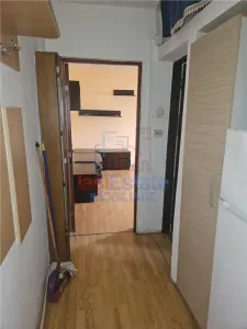 米尔恰·塞尔·巴特兰两卧室分体式公寓 - foto 4
