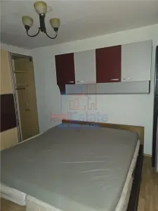 米尔恰·塞尔·巴特兰两卧室分体式公寓 - foto 9